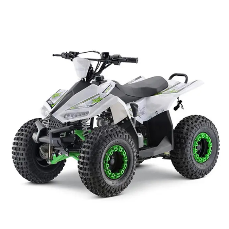 LM110-L1