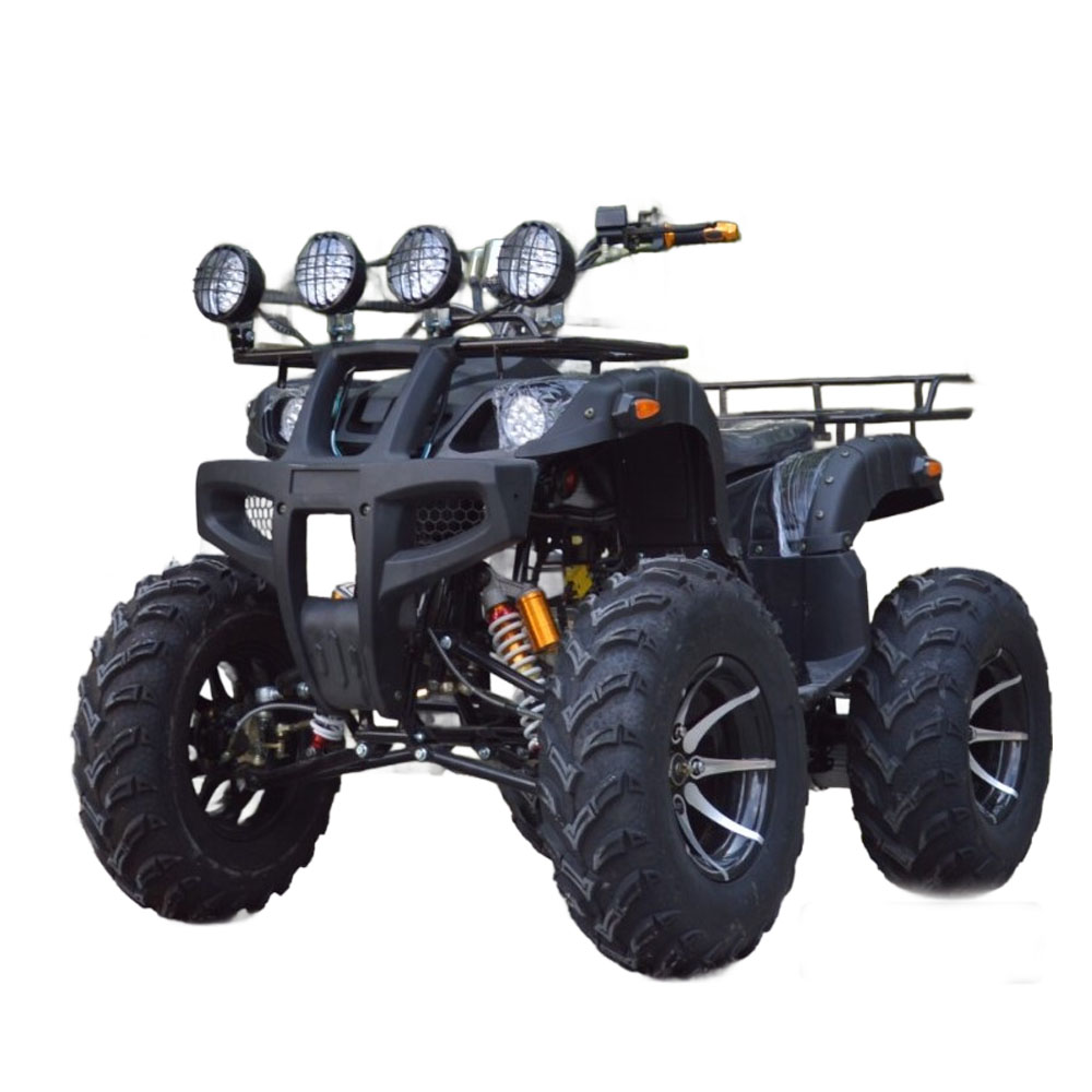 LM-E-G